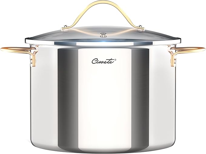 Stock Pot 12 Quart, 18/10 Tri-Ply Stainless Steel All Clad Stock Pot with Lid, Seamless 12 QT Cooking Pot with Copper Handle, Healthy Stockpots, Induction, Gas, Oven and Dishwasher Safe