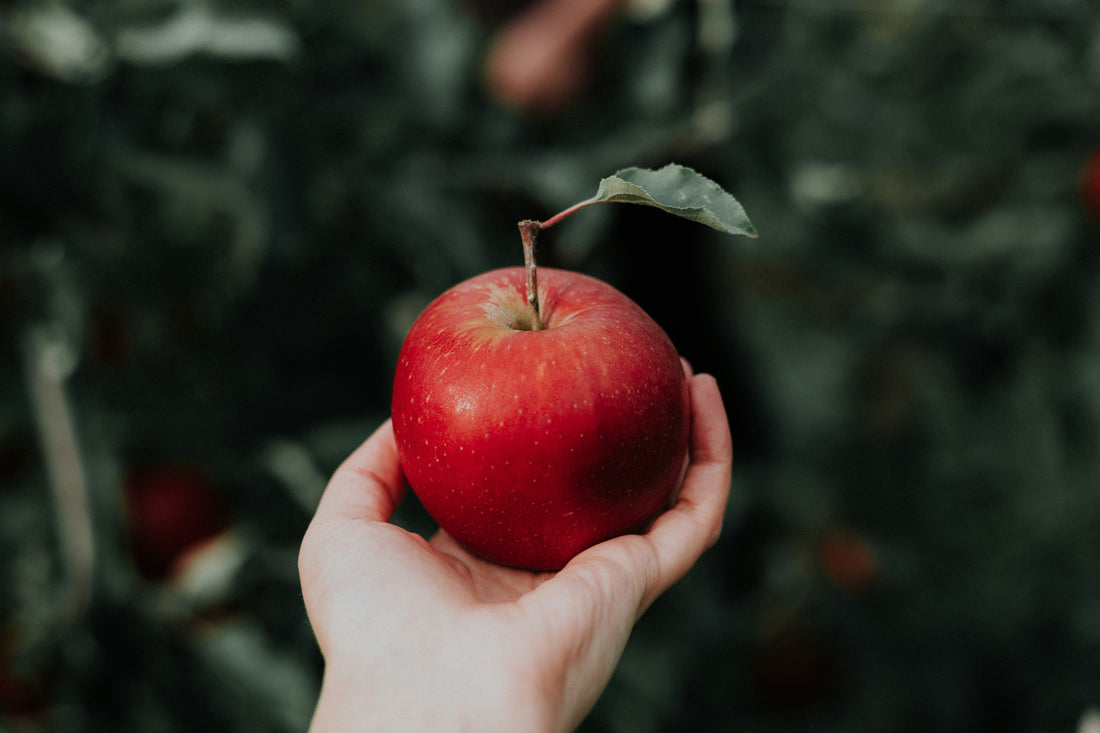 [KITCHMENT] The "Baking Soda Water Wash": How to strip stubborn wax coatings and pesticides from store-bought apples