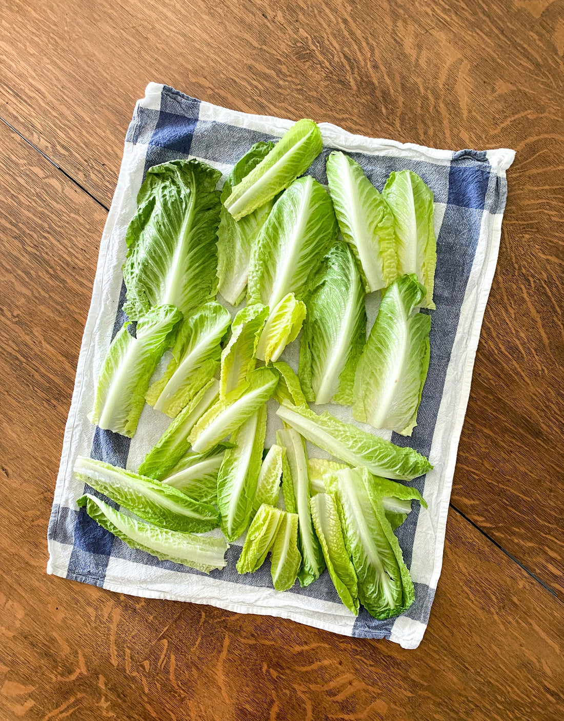 [KITCHMENT] The "Paper Towel Liner": How to stop pre-washed salad greens from turning slimy in 3 days