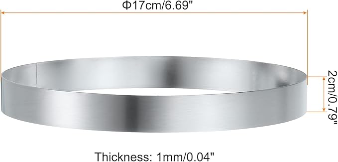 HARFINGTON 4Pcs Round Cake Ring 6.69 x 1 Inch Seamless Stainless Steel Pastry Mousse Dessert Ring Mirror Coating for Baking Cooking English Muffins Crumpet Making Tool
