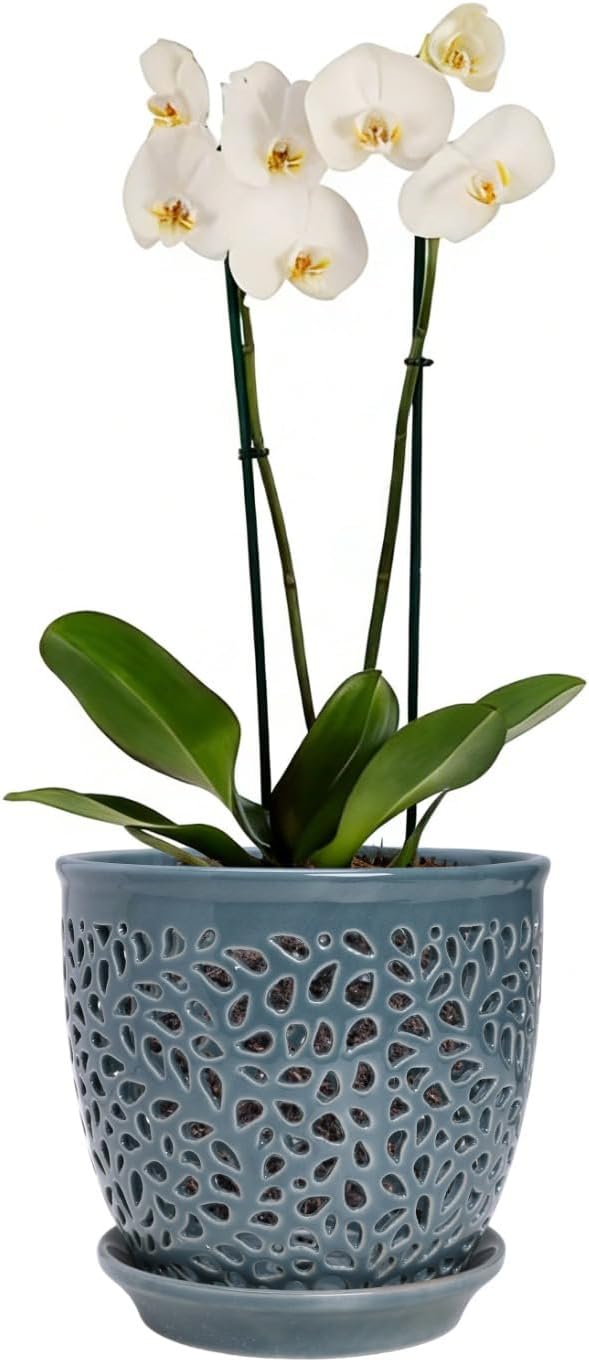Elegant Orchid Pot with Holes, Large 6.5 inch Premium Porcelain Ceramic Orchid Pot for Repotting, Durable Ceramic Planter with Removable Saucer for Easy Drain, Planter Gifts for Moms