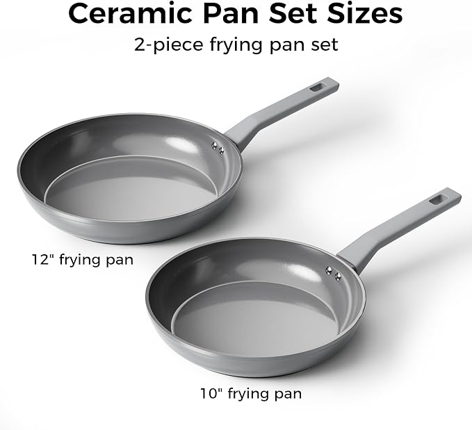 Sanho Diamond-Titanium Ceramic Nonstick Fry Pan Set, 10in & 12in Frying Pans, PFAS PFOA PTFE Free, Dishwasher Safe & Induction Compatible Cookware with Cool-Touch Handle, Gray