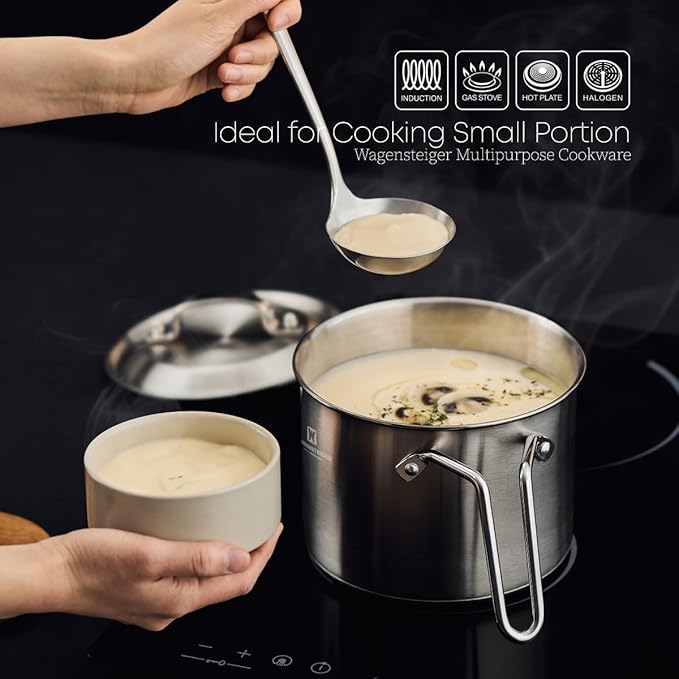 Stainless Steel Vegetable Egg Steamer Pot Saucepan Pasta Stovetop Cooker with Perforated Basket, Small Sized for Single or Double Servings (2.3Liter / 2.43Quarts)