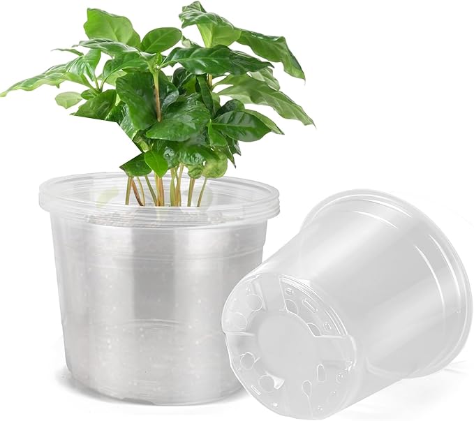 10 Inch Large Clear Nursery Pots with Drainage, 5 Pack Plastic Pots for Plants, Ideal Seedling Pots and Plant Pots for Vegetables, Orchids, Aloe, Indoor Outdoor Use (10 inch-5 Pack)