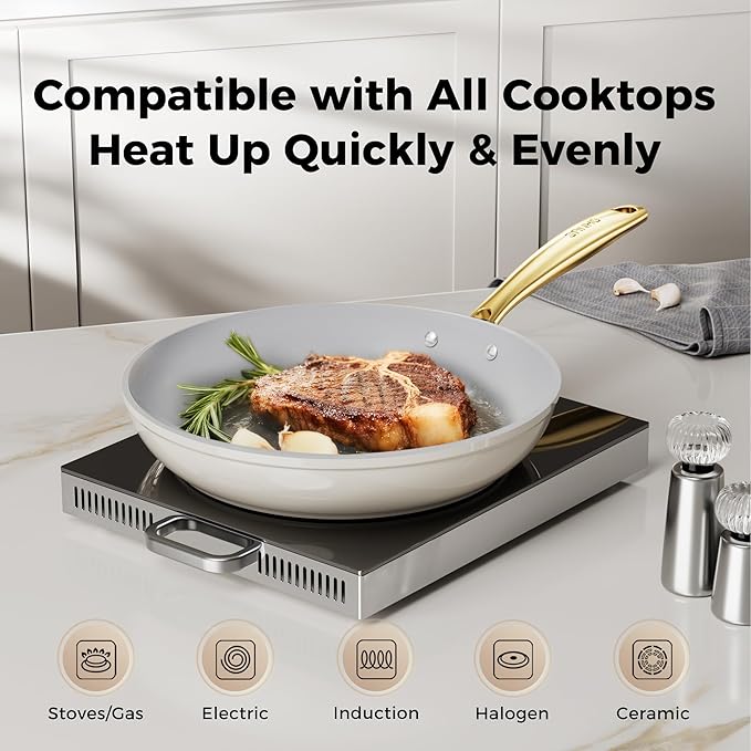 Sanho 8 Inch Nonstick Frying Pan, Diamond-Titanium Ceramic Coating PFAS/PFOA Free, Oven & Dishwasher Safe Skillet, Induction Compatible with Cool Touch PVD Handle