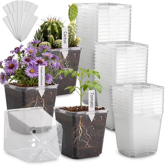 5.5 Inch Clear Square Nursery Pots with Drainage & Labels, 30Pcs Reusable Seed Starter Pots for Vegetables, Indoor Outdoor Gardening, Thick Transparent Plastic Plant Pots for Seed Starting