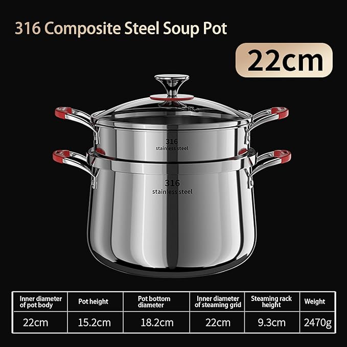5 Qt Stainless Steel Stock Stew Pot with Steamer Insert and Glass Lid, 316 Thickened Clad for Fast Even Heating, Compatible with Gas Induction Ceramic Electric Halogen Stoves (2 Tier, 22cm)