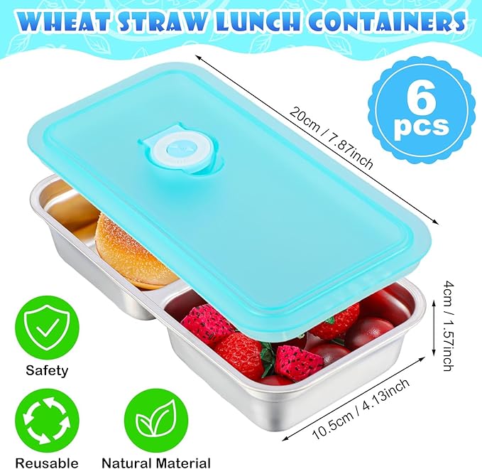 6 Pcs Stainless Steel Snack Containers 30 oz 2-compartment Meal Prep Containers Reusable Metal Divided Bento Box with Silicone Lids Leakproof Lunch Box Dishwasher Safe (Blue)