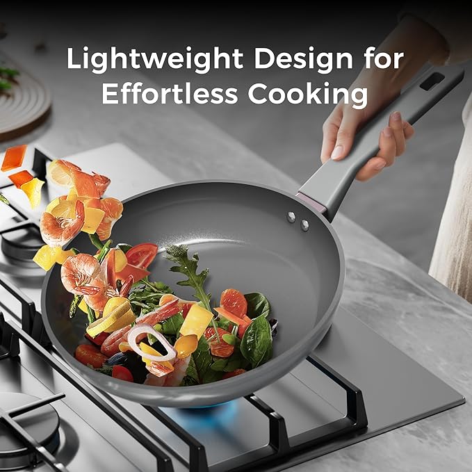 Sanho Diamond-Titanium Ceramic Nonstick Fry Pan Set, 20cm & 26cm Frying Pans, PFAS PFOA PTFE Free, Dishwasher Safe & Induction Compatible Cookware with Cool-Touch Handle, Gray