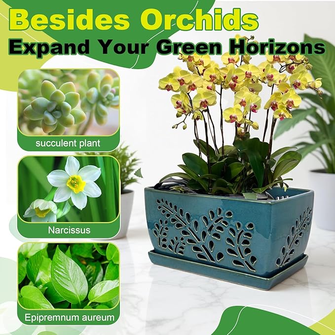 Ceramic Orchid Pot, 10 Inch Orchid Pots with Holes, Premium Thickened Handmade Glazed Pot for Orchidaceae Plants, Indoor Outdoor Decorative Flower Pots for Easy Repotting