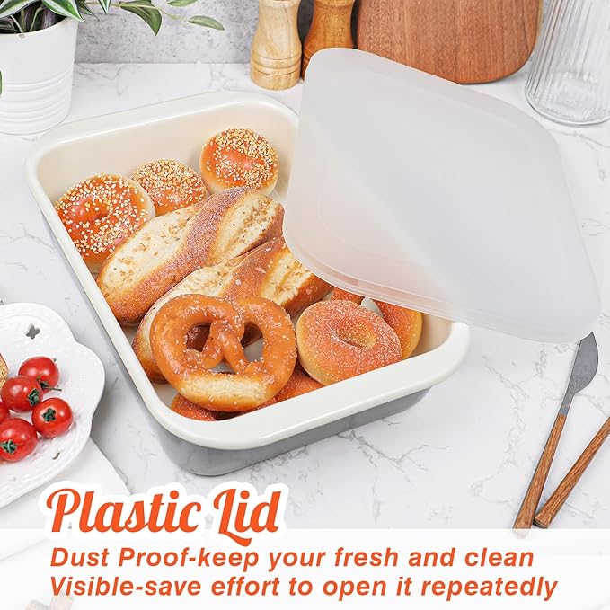 Webake Enamelware 9x13 Baking Pan with Lid, Oblong Cake Pan Enameled Steel Roasting Pan Baking Dish Lasagna Pan Food Containers
